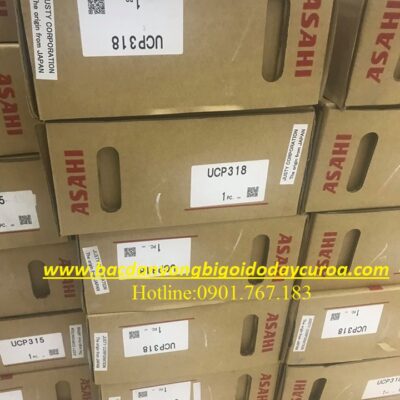 GỐI ĐỠ - VÒNG BI UCP318 ASAHI