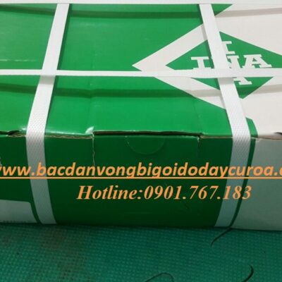 VÒNG BI - BẠC ĐẠN GS81238 INA