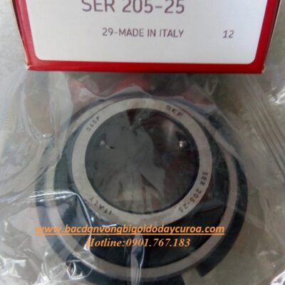 VÒNG BI - BẠC ĐẠN SER205-25