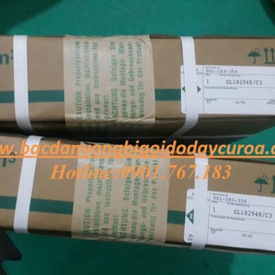 VÒNG BI - BẠC ĐẠN SL182948.C3 INA