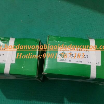 VÒNG BI - BẠC ĐẠN SL192317 INA