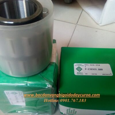 VÒNG BI F-238900.RNN INA