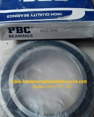 VÒNG BI - BẠC ĐẠN 6022