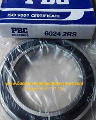 VÒNG BI - BẠC ĐẠN 6025