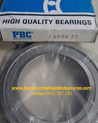 VÒNG BI - BẠC ĐẠN 6029