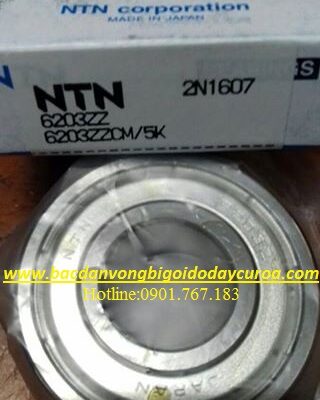 VÒNG BI - BẠC ĐẠN 6203