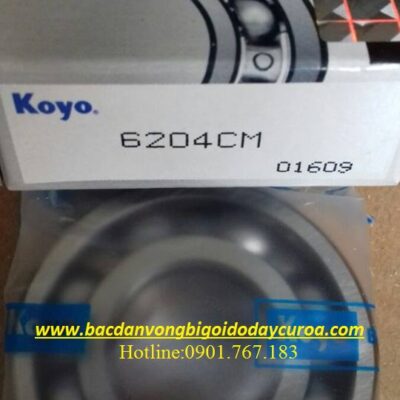 VÒNG BI - BẠC ĐẠN 6204