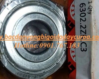 BẠC ĐẠN - VÒNG BI 6300