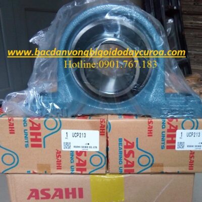 GỐI ĐỠ UCP213 ASAHI