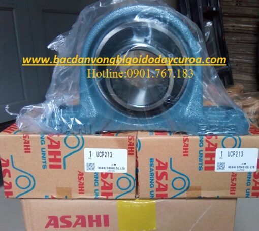 GỐI ĐỠ UCP213 ASAHI