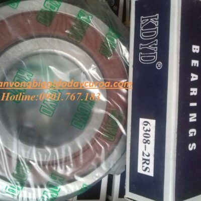 BẠC ĐẠN - VÒNG BI 6306