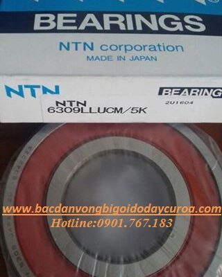 BẠC ĐẠN - VÒNG BI 6309