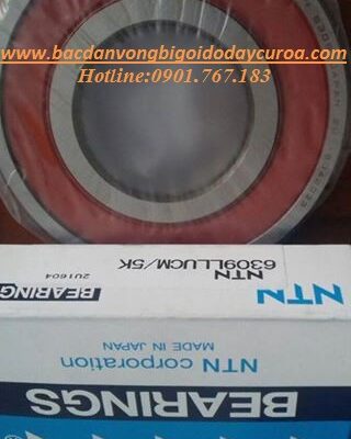 BẠC ĐẠN - VÒNG BI 6320