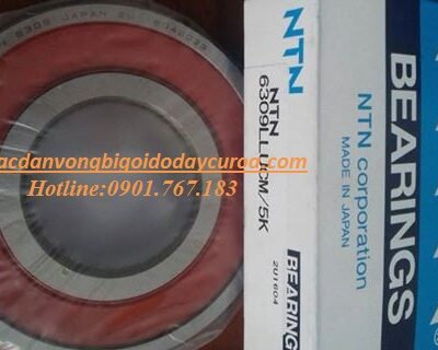 BẠC ĐẠN - VÒNG BI 6323