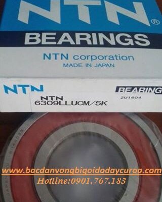 BẠC ĐẠN - VÒNG BI 6325