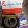 VÒNG BI - BẠC ĐẠN 6100815