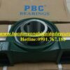 VÒNG BI - BẠC ĐẠN UCP316
