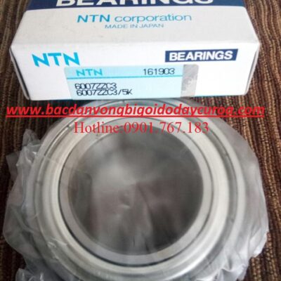 VÒNG BI BẠC ĐẠN 6007