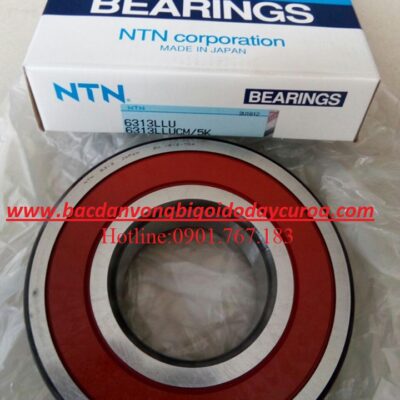 VÒNG BI BẠC ĐẠN 6313