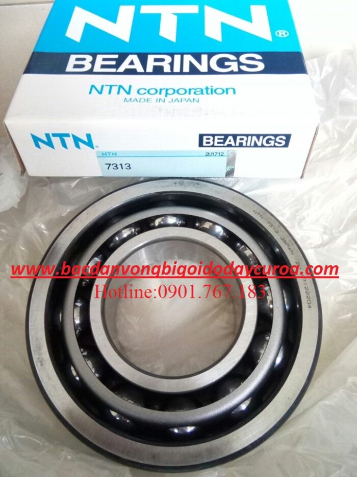 VÒNG BI BẠC ĐẠN 7313