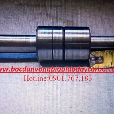 VÒNG BI BẠC ĐẠN BƠM 885820