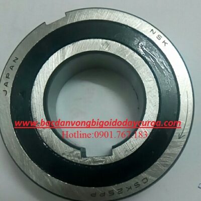 VÒNG BI BẠC ĐẠN CSK25PP
