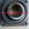VÒNG BI BẠC ĐẠN FX13
