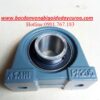 VÒNG BI BẠC ĐẠN PA206