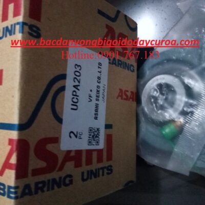 GỐI ĐỠ - VÒNG BI PA305