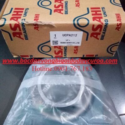 GỐI ĐỠ - VÒNG BI UCPA213 ASAHI