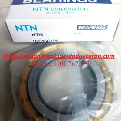 VÒNG BI BẠC ĐẠN UZ313G1P6
