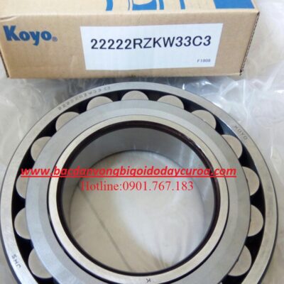 BẠC ĐẠN 22222 KOYO