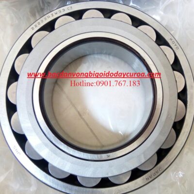 BẠC ĐẠN 22222RZW33.C3