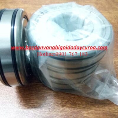 VÒNG BI BẠC ĐẠN AC 6304