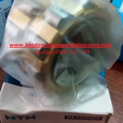 BẠC ĐẠN HỘP SỐ 100752202K NTN