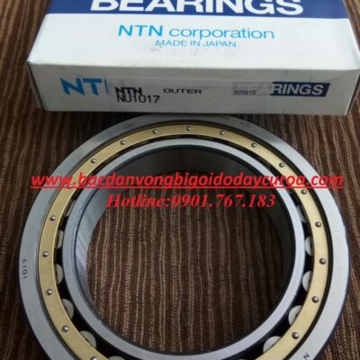 BẠC ĐẠN NU1017