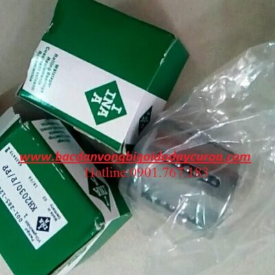 BẠC ĐẠN TRƯỢT INA