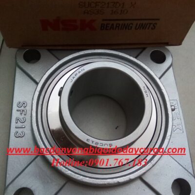GỐI ĐỠ BẠC ĐẠN INOX UCF213