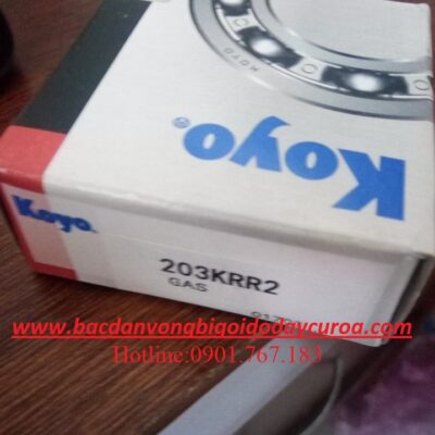 BẠC ĐẠN 203KRR2 KOYO