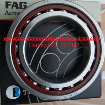 BẠC ĐẠN 7013 FAG