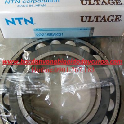 BẠC ĐẠN 22216EAKD1 NTN
