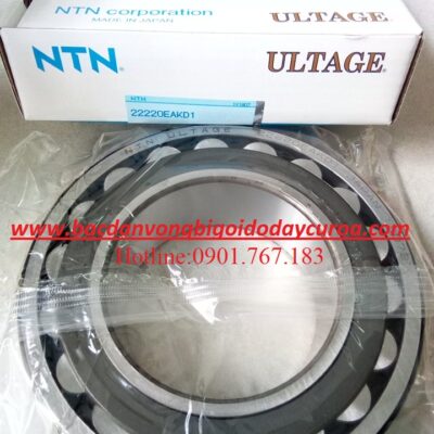 BẠC ĐẠN 22220EAKD1 NTN