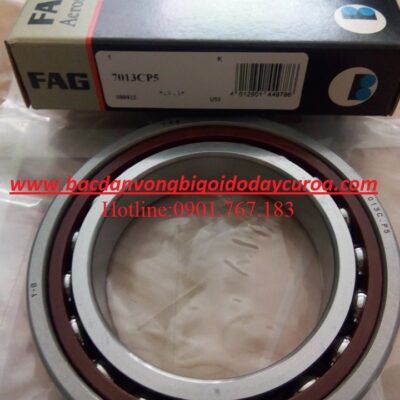 BẠC ĐẠN 7013CP5 FAG