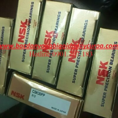 BẠC ĐẠN CSK30PP