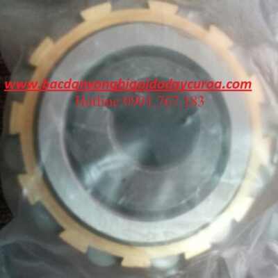 BẠC ĐẠN LỆCH TÂM