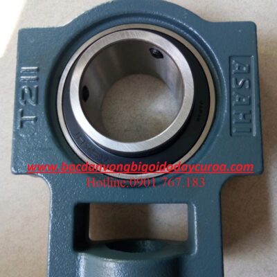 GỐI ĐỠ UCT211