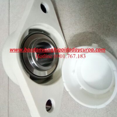 GỐI ĐỠ BẠC ĐẠN NHỰA INOX