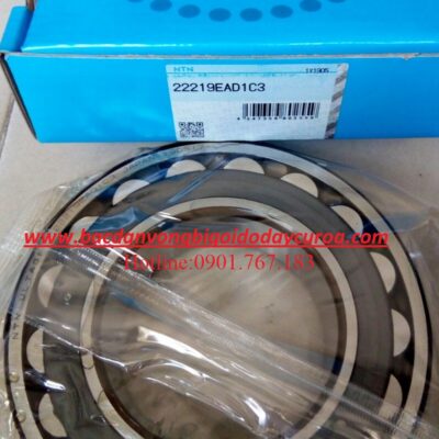 BẠC ĐẠN 22219 EAD1C3 NTN