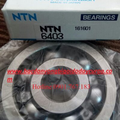 BẠC ĐẠN 6403 NTN