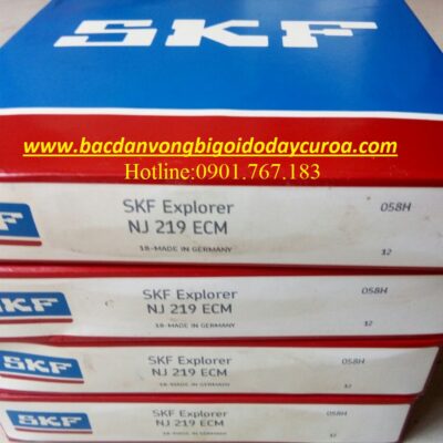 BẠC ĐẠN NJ219 ECM